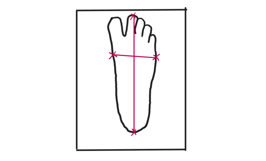 Foot Measurement